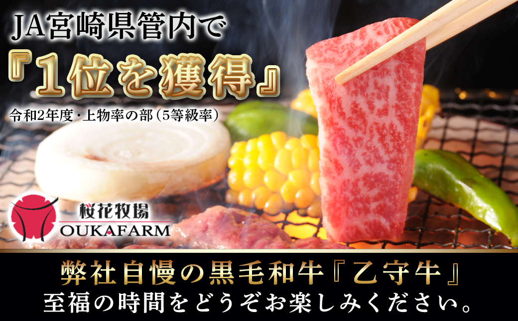 ≪限定200セット≫隔月6回お届け!【宮崎牛A5】焼肉6種盛り(乙守牛）_T192-6-6501