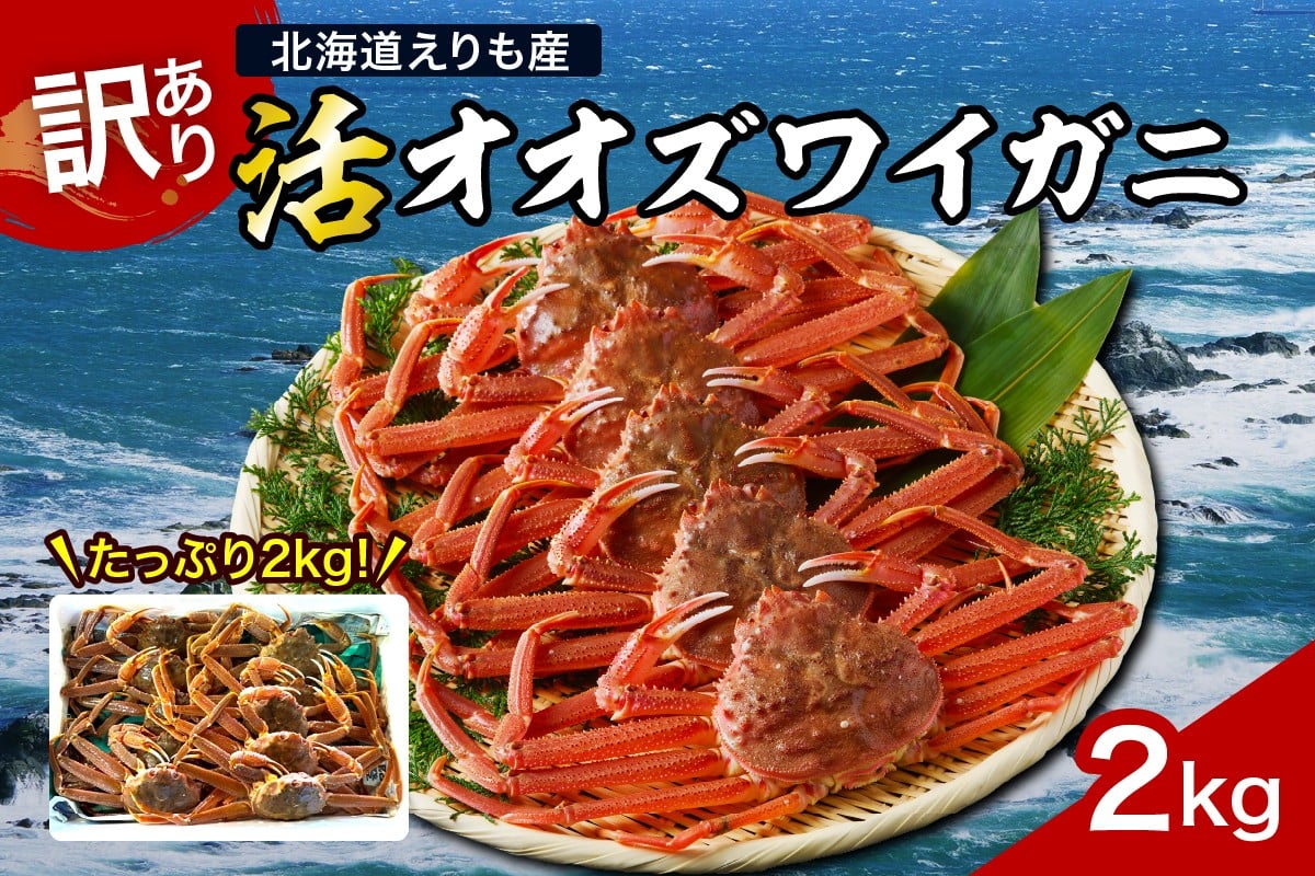
            【2026年1月下旬以降発送】『訳あり』活オオズワイガニ2kg入【えりも産】【er004-043-f】
          