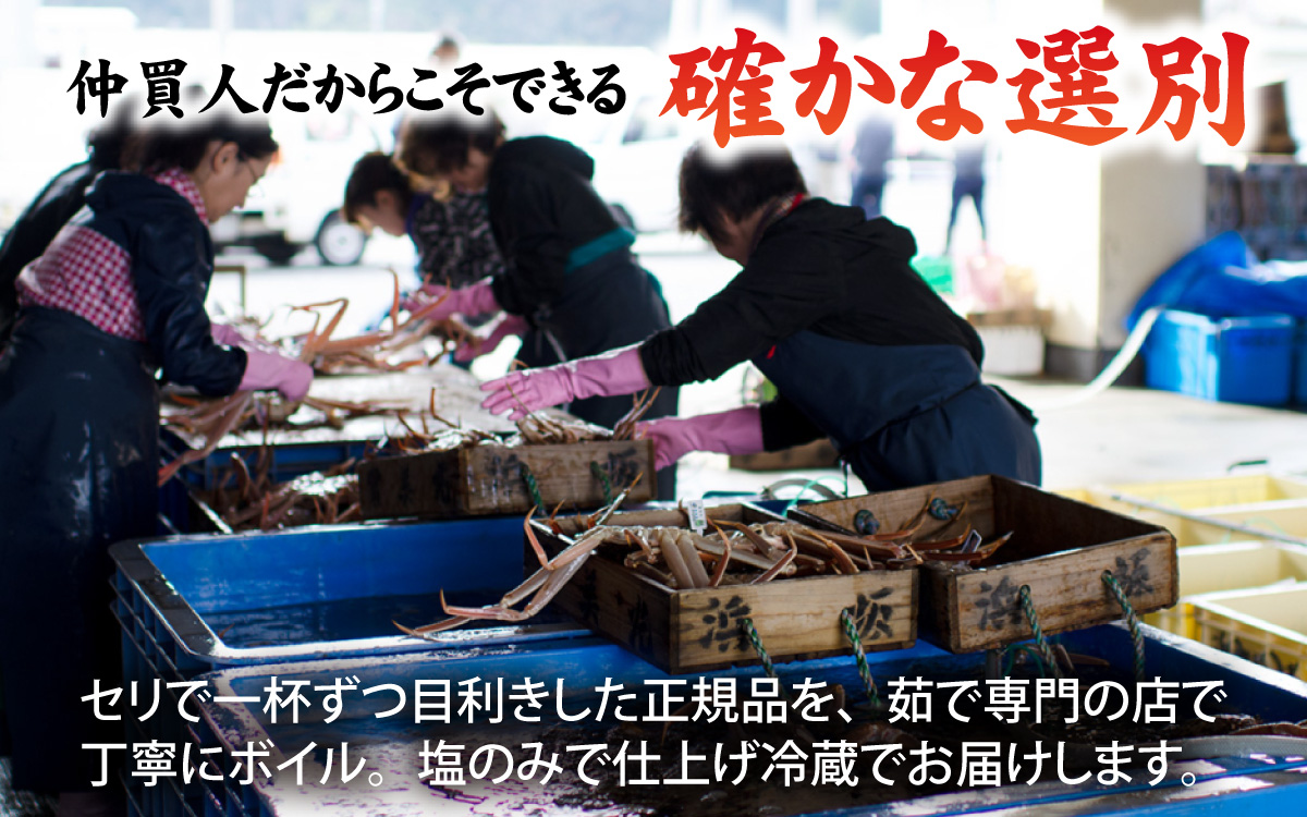 松葉がに 400～500g (ボイル)／蟹 ズワイガニ 浜坂漁港 タグ付き 無添加 日本海 魚介類 新鮮 塩茹で 上品な甘み 海鮮 海の幸 かに 国産 冷凍