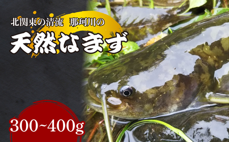 天然なまず(切り身) 北関東の清流「那珂川産」 300g～400g 真空冷凍 | ナマズ ナマズ ナマズ ナマズ ナマズ