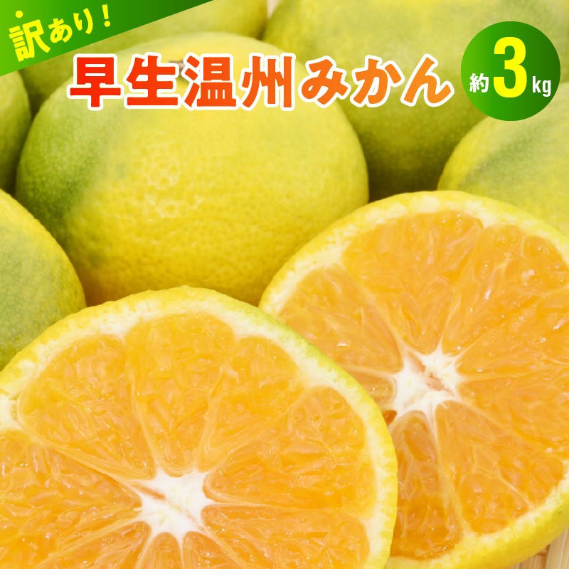 
            101-13  村田果樹園　【訳アリ】早生温州みかん  約3kg
          