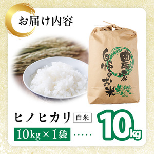 ヒノヒカリ 白米 (10kg) お米 ごはん ご飯 ひのひかり 数量限定 【118300400】【真田　定二】
