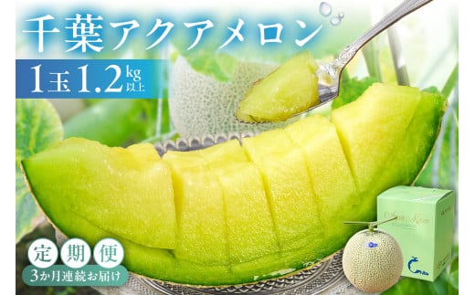 【定期便】千葉アクアメロン1玉（1.2Kg）【3か月連続お届け】 mi0018-0004 メロン 青肉 ギフト 贈答 プレゼント フルーツ 果物