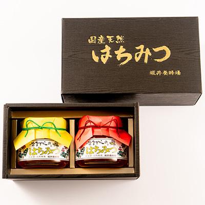 ふるさと納税 大牟田市 坂井養蜂場　昔ながらの蜂蜜　550g　2本組 |  | 01