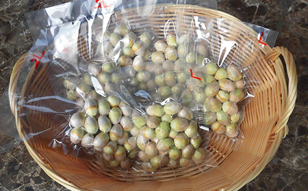 《先行予約》2025年 山形県産 グリーン銀杏 むき実 2L 約700g(100g×7) 2025年9月中旬から順次発送 銀杏 ぎんなん おつまみ 秋 野菜 期間限定 F20A-930