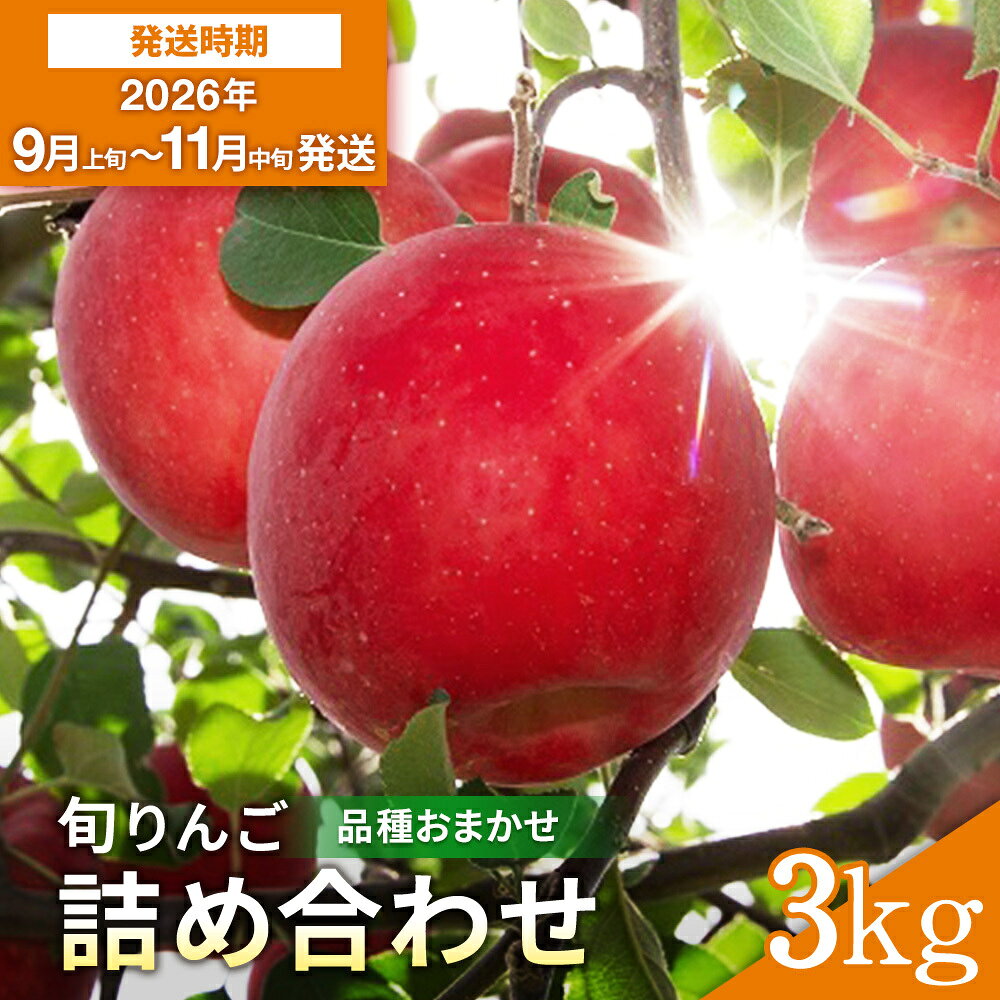 【ふるさと納税】厳選 旬 りんご 詰め合わせ 3kg 秀品 早生 品種お任せ さんさ こうりん シナノスイート シナノゴールド トキ アキタゴールド 秋田紅あかり の中から 濃厚 で ジューシー な 美味しい 林檎 をお届け【藤山果樹園】[B28008]