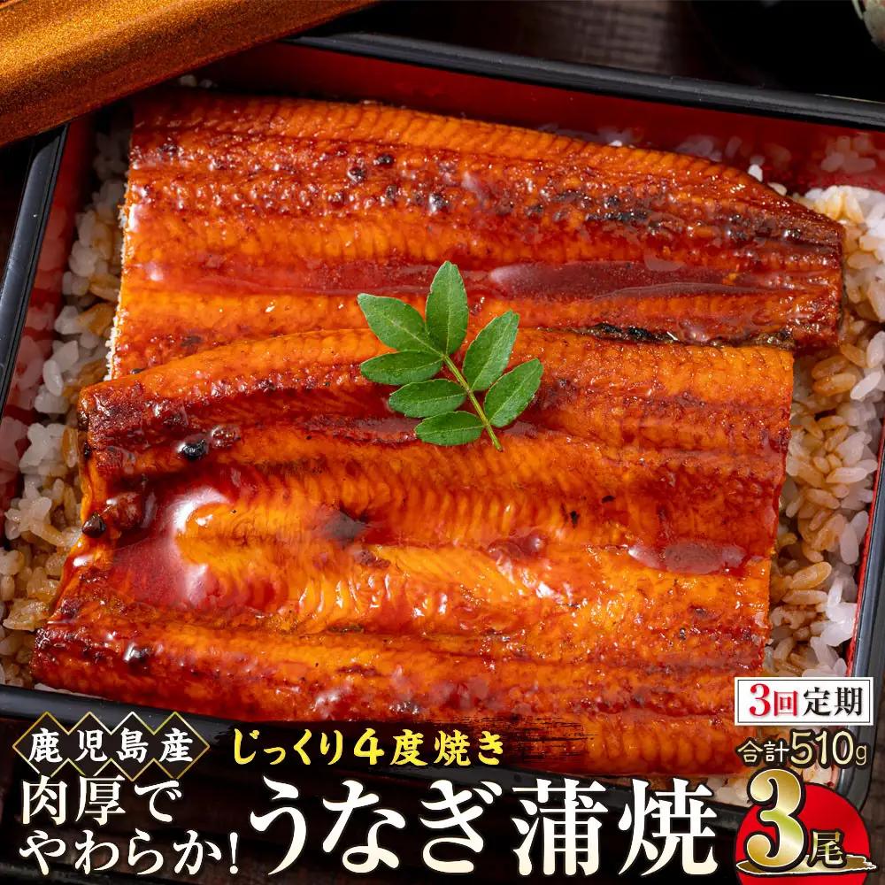 【3回定期】うなぎ 蒲焼 170g×3尾【鹿児島産】地下水で育てた絶品鰻