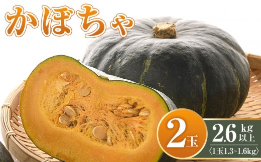 
                  【先行予約】かぼちゃ 2玉2.6kg以上(2026年11月初旬から順次発送開始予定) 北海道 旭川市 産地直送 かぼちゃ カボチャ kabotya KABOTYA pumpkin _05689
                