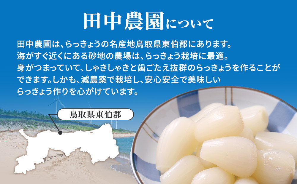 325.【特別栽培】生ラッキョウ　計4kg（ラクダラッキョウ×2kg　玉ラッキョウ×2kg）　※2026年5月下旬～7月上旬頃に順次発送予定