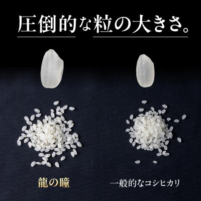 ふるさと納税 下呂市 【2025年産】3kg×1 飛騨産・龍の瞳(いのちの壱)株式会社龍の瞳直送 【14-12】 |  | 01
