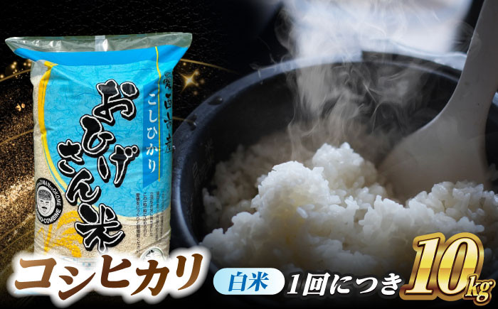 コシヒカリ 白米 10kg×6回 定期便 新米 令和6年度産