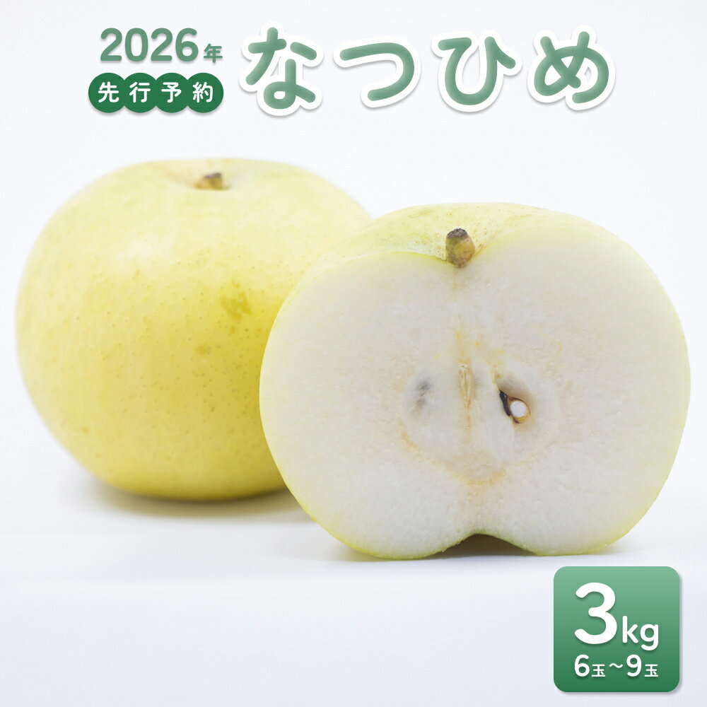 【ふるさと納税】【2026年 先行予約】なつひめ 3kg｜鳥取 東光園 梨 2026年収穫後 2026年8月下旬から順次発送※着日指定不可【41066】