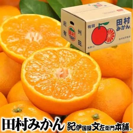 【日高町】田村みかん 特選ギフト品3kg【サイズおまかせ】湯浅町田村地区産/産地直送【1221334】