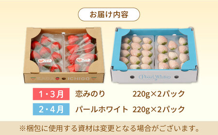 【4回定期便】紅白いちご（恋みのり・パールホワイト）の定期便 / いちご イチゴ 苺 いちご イチゴ いちご いちご いちご [IZZ017]