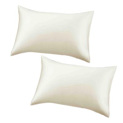 ふるさと納税 和泉市 プレミアムパジャマ(男女兼用Mサイズ)&ダウンピロー(羽毛枕)&ピローケース2枚　カラーPW |  | 01