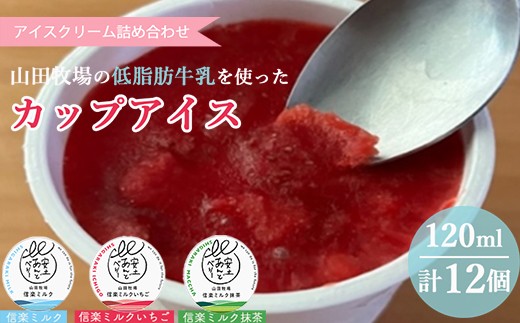 
                  アイス セット 12個 【山田牧場の低脂肪牛乳使用】カップアイス セットアイス アイスクリーム 山田牧場アイス アイス詰め合わせ 牧場アイス あいす ストロベリーアイス イチゴアイス いちごあいす ミルクアイス 抹茶アイス 滋賀 甲賀 （プレーン、ストロベリー、抹茶）
                