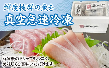 【日本海鮮魚】漁師厳選鮮魚真空冷凍セット約3.5g～4.0kg(5種以上)  | 魚 詰め合わせ 新鮮 煮物 焼き物 お造り 刺身 晩酌 食卓 BBQ 急速冷凍 真空パック 鮮魚セット 詰合せ 鮮魚店