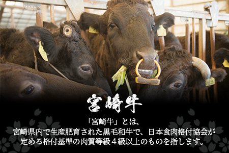 受賞歴多数!! 宮崎牛 ロースステーキ 250g×2【合計500g】