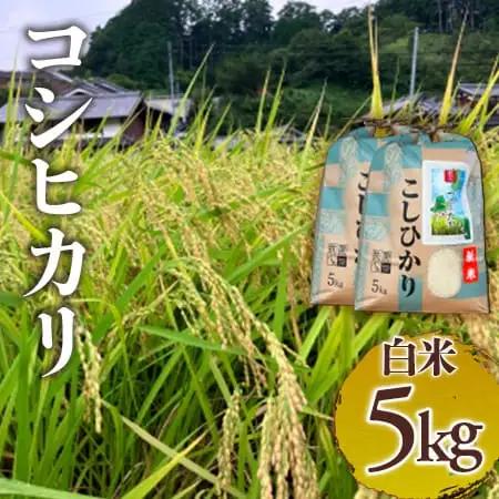 コシヒカリ　白米5kg  つげゆたかコシヒカリ (tge001)