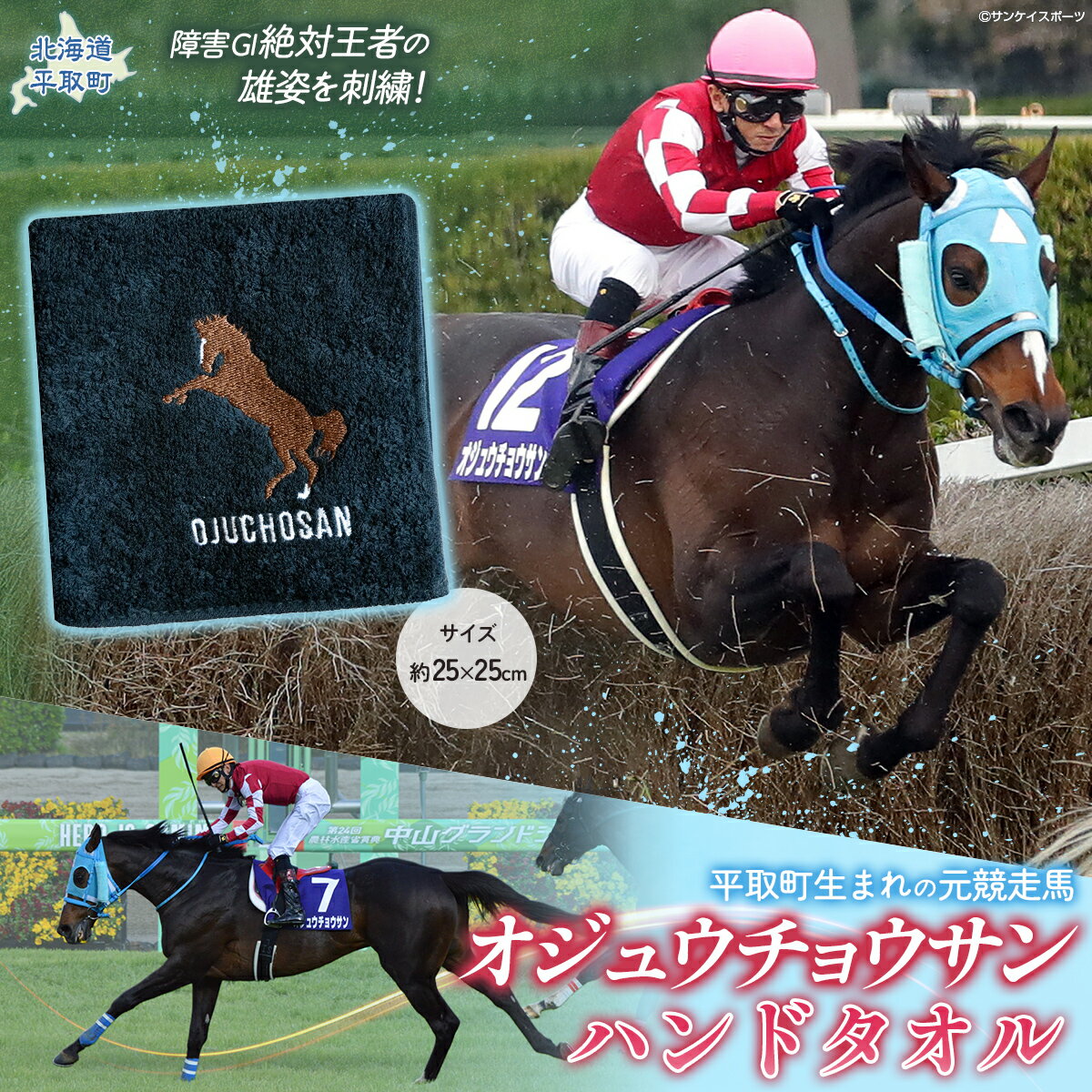 【ふるさと納税】【オジュウチョウサン】ハンドタオル【 ふるさと納税 人気 おすすめ ランキング 馬 競馬 競走馬 引退馬 オジュウチョウサン 北海道 平取町 送料無料】 BRTV008
