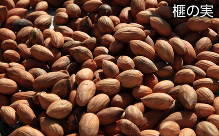 榧の実油 100mL ×1本 /希少 食用油 油 あぶら オイル【榧工房かやの森】[ATFK001]