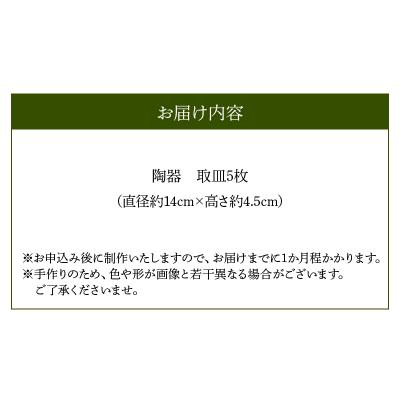 ふるさと納税 南九州市 野の花工房　手びねり取皿5枚 |  | 02