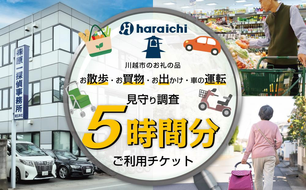 
            ご家族の散歩・買物・運転の見守り調査チケット（５時間分）
          