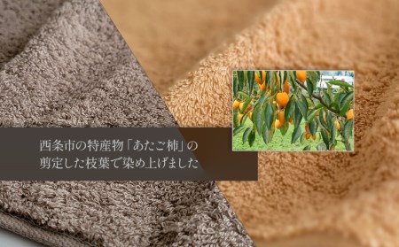 「地域の自然を染めるタオル」 タオルハンカチ 3枚セット（3色）
