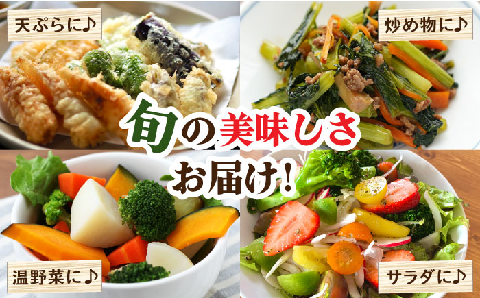 【6回定期便】野菜定期便 フルーツ・きのこをセット 15品目以上 「6回（毎月）」お届け 定期 バラエティ 詰め合わせ 野菜セット 甘い きのこセット/ 南島原市 / 吉岡青果 [SCZ002]