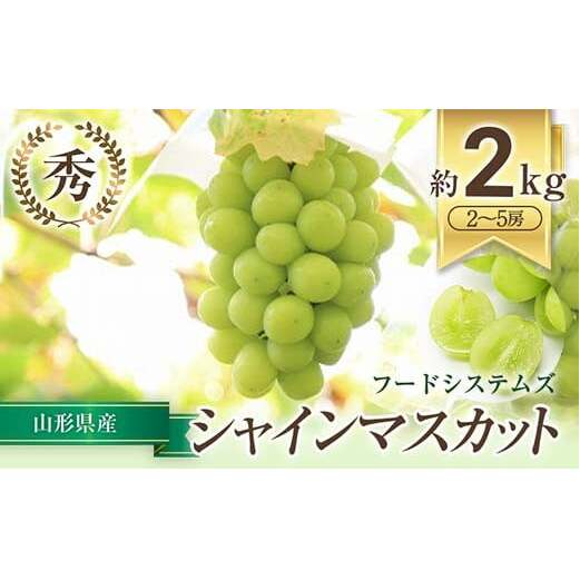 【令和7年産先行予約】 シャインマスカット 約2kg (2～5房 秀) 《令和7年9月下旬～11月中旬発送》 『フードシステムズ』 マスカット 葡萄 ぶどう 果物 フルーツ デザート 山形県 南陽市 [1388]