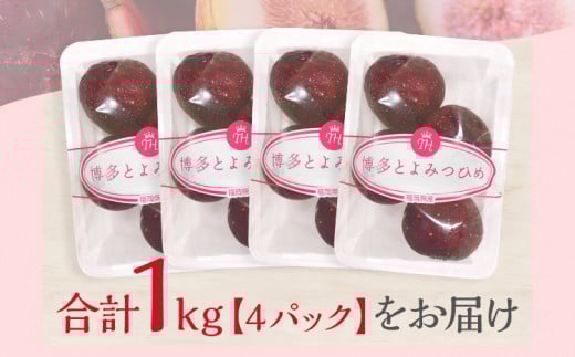 博多とよみつひめ 1,000g（４パック）【2025年8月～10月に発送予定】 CD23