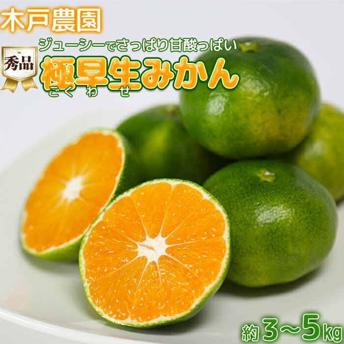 【ふるさと納税】極早生みかん！木戸農園のおおいた早生 約3〜5kg（秀品） 先行予約 果物 フルーツ＜113-701_6＞