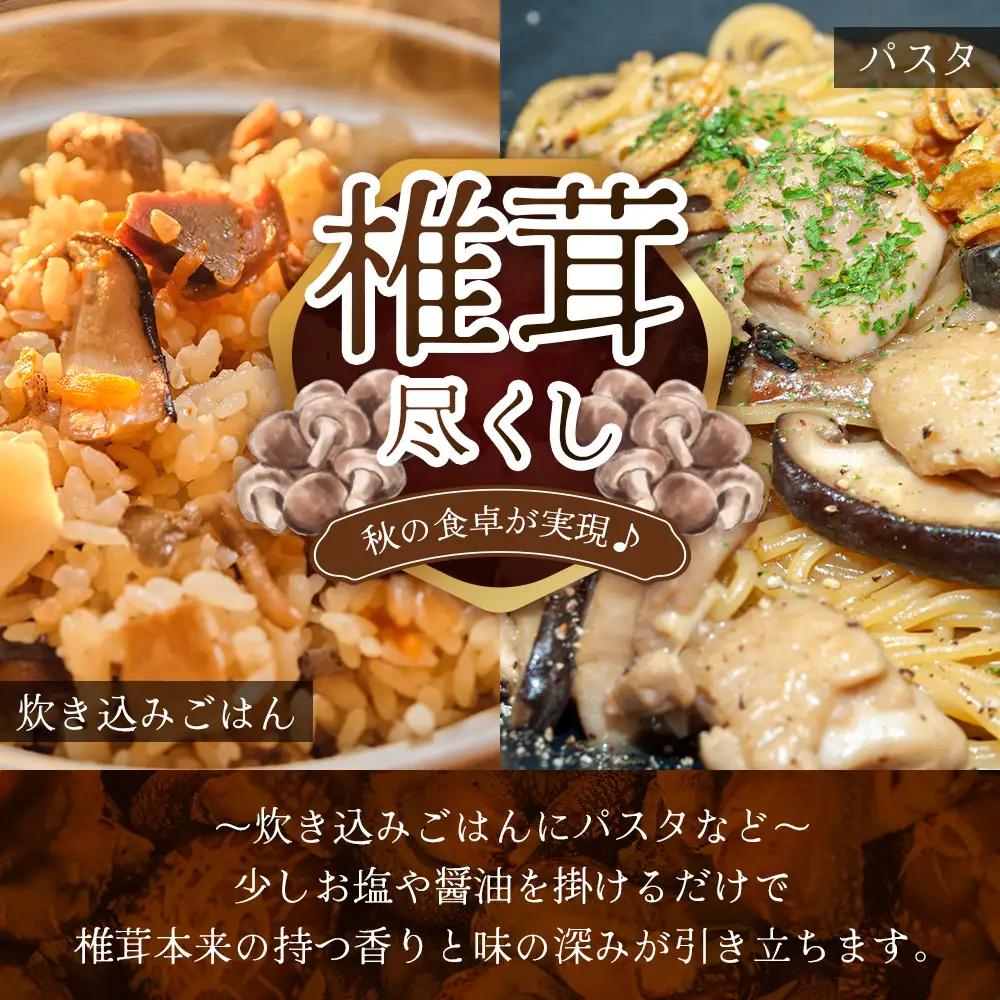 【世界初CoC認証取得！】宮崎県諸塚村産 乾しいたけ スライス 20g×6P 計120g 常温｜干ししいたけ どんこ 椎茸 冬菇 パスタ 味噌汁 原木栽培 家庭用 もろっこはうす MO-26