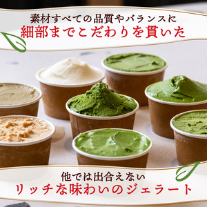 抹茶ジェラート16個セット 抹茶スイーツ ジェラート 京都 宇治 