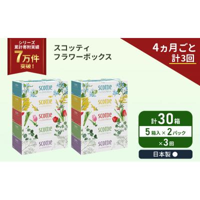 ふるさと納税 岩沼市 定期便 ティッシュ スコッティ 30箱 (5箱×2P)《計3回》[No.5704-1131] |  | 01