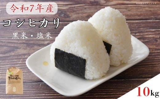 
            《令和7年産・予約受付》黒米・塩米（コシヒカリ）約10kg ／ お米 米 精米 白米 コシヒカリ こしひかり 10kg 新米 令和７年産 千葉県
          