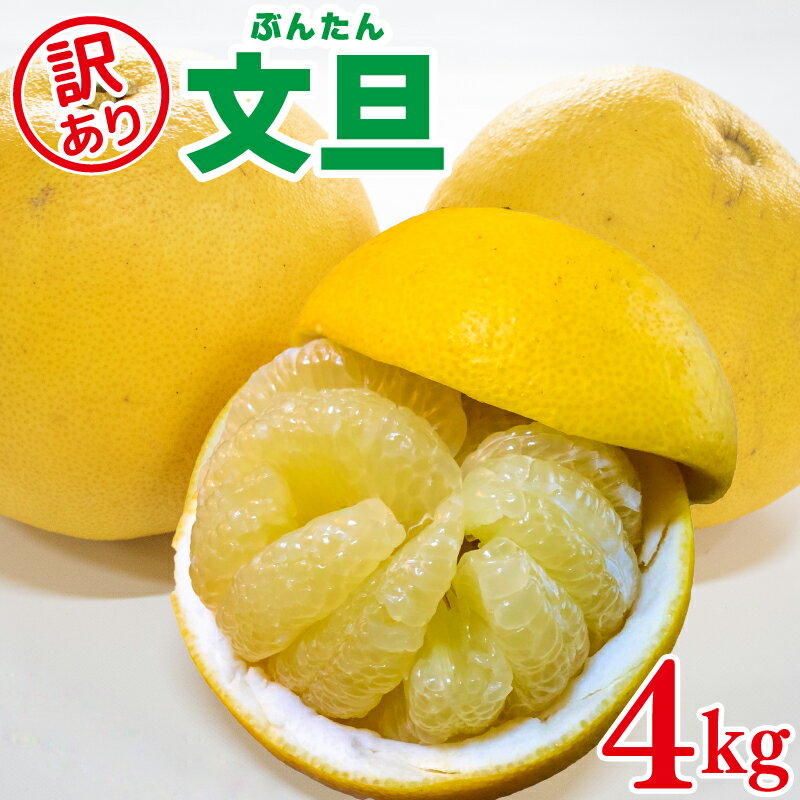 【ふるさと納税】 文旦 訳あり 4kg 無農薬 蜜柑 みかん ぶんたん 柑橘 蜜柑 家庭用 阿波市 徳島県
