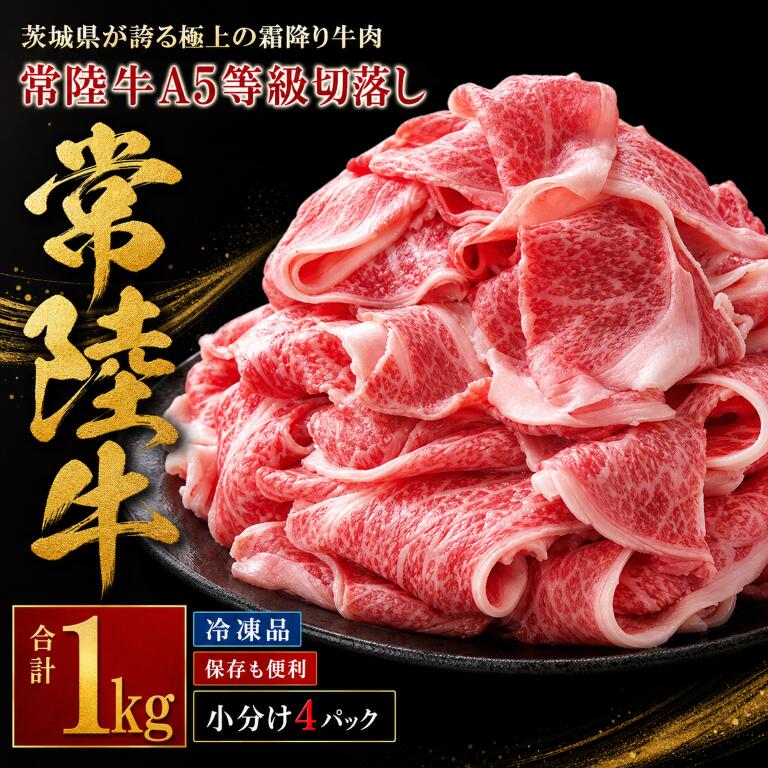 【ふるさと納税】常陸牛 A5等級 牛肉 切落し 計1kg [500g×2パック] 茨城県共通返礼品 国産 5等級 A5ランク 茨城県 肉 霜降り 切り落とし 小間切れ 冷凍 牛丼 すき焼き カレー 小分け おかず ぎゅうにく きりおとし ギュウニク キリオトシ 【そうざい男しゃく】【ho1561】