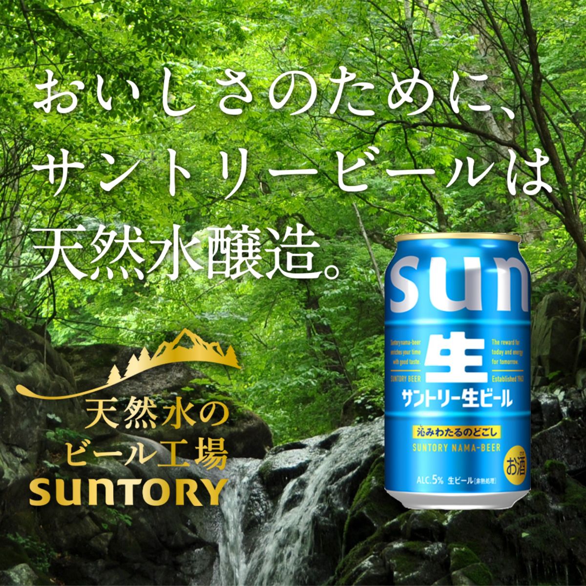 【12ヵ月定期便】サントリー生ビール トリプル生 350ml×24本 12ヶ月コース(計12箱) 