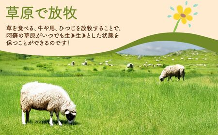 阿蘇地域で生産した貴重な国産羊肉のジンギスカン！　 国産羊肉 ジンギスカン 熊本特産 晩白柚風味  羊肉レシピ 簡単調理 焼くだけ 本格ジンギスカン  熊本グルメ ご当地グルメ 特製漬け込み お取り寄