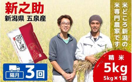 【令和6年産新米】〈隔月3回定期便〉「わくわく農場」の五泉産 精米 新之助 5kg(5kg×1袋)［2024年10月下旬以降順次発送］ わくわく農場