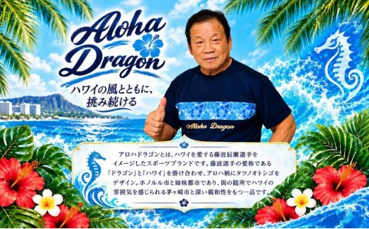 アロハドラゴン 速乾ドライTシャツ Mサイズ