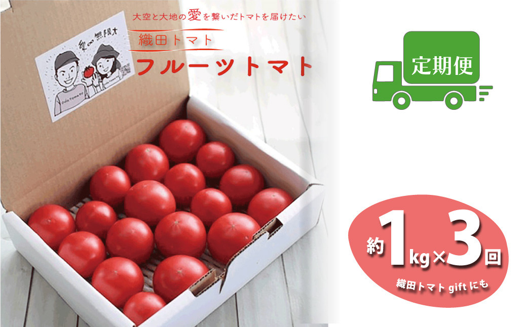 
                  ＜＜2027年1月頃～5月頃発送予定＞＞【3回定期便】フルーツトマト 1kg×3回『合計3kg』 織田トマト 高知  牧野富太郎博士の好物【1月頃～5月頃の間に3回お届け】
                