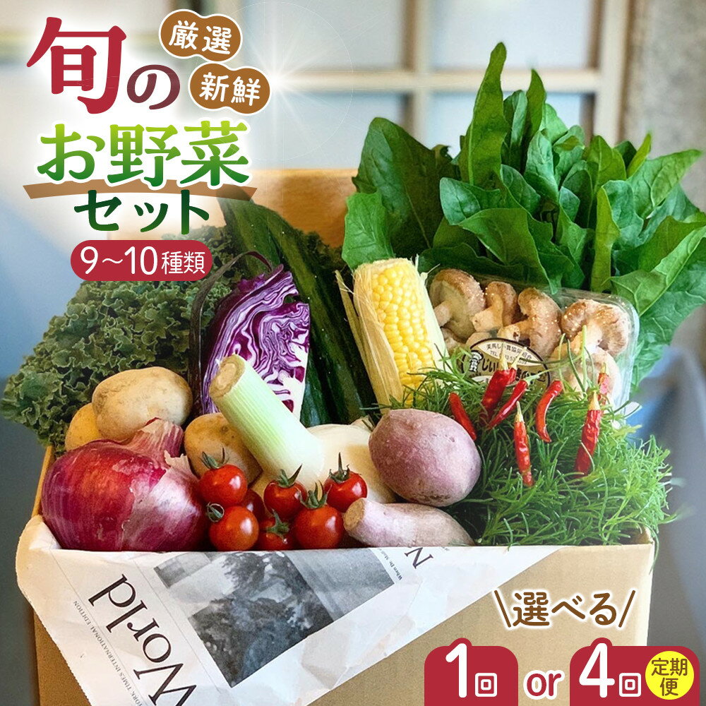 【ふるさと納税】野菜セット 旬の野菜 （9~10種類) やさい 詰合せ 新鮮 季節の野菜 | 季節 野菜 ボックス BOX セット セレクト 農家 おまかせ 多品目 旬 詰め合わせ 根菜 葉物 果物 旬の野菜 新米