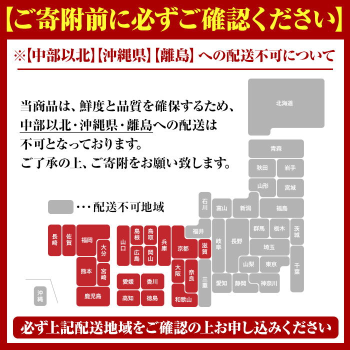 ＜2025年9月中旬以降順次発送予定＞期間・数量限定！鹿児島県産 伊勢海老(3尾・計1.0～1.2kg) 国産 鹿児島県産 海老 えび エビ 伊勢海老 刺身 海鮮 海の幸 海産物【福美丸水産】akn0