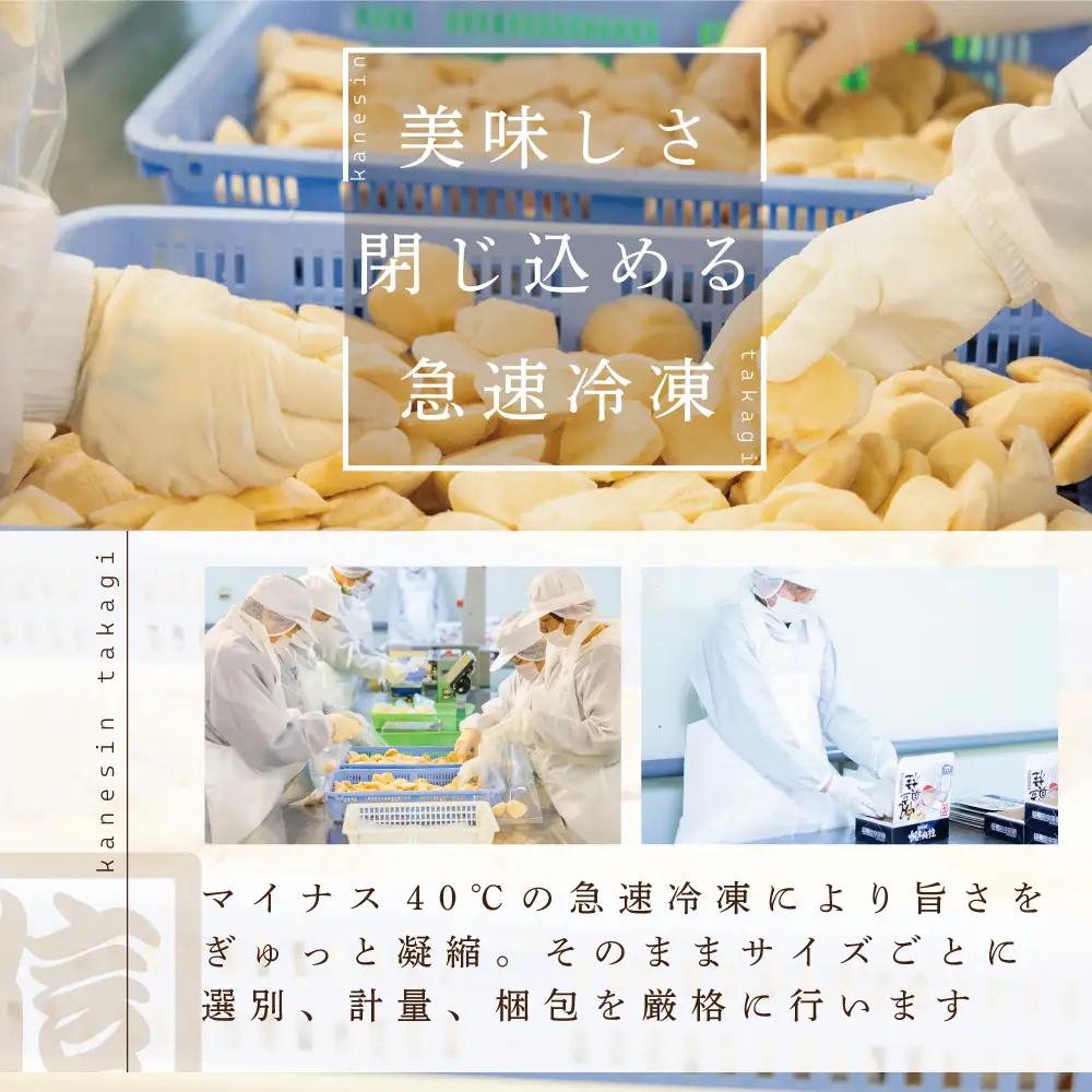 特大LL～Lサイズを厳選！大粒ほたて貝柱 500g！(約12玉前後)（ ほたて ホタテ 帆立 貝柱 北海道 人気 ふるさと納税 ）