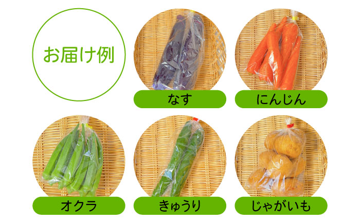 【6回定期便】直売所より発送！季節の野菜セット 7～10品目 / 野菜定期便 やさい定期便 野菜 やさい 旬 詰め合わせ / 南島原市 / ながさき南部生産組合 [SBW004]