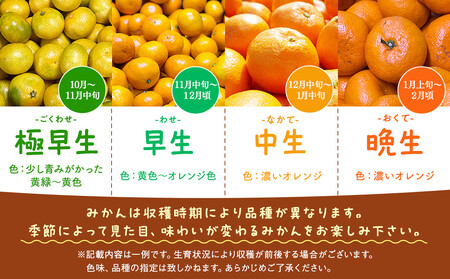 訳あり それでも 有田みかん 箱込 2.5kg (内容量約 2.3kg) サイズミックス B品 有田みかん 和歌山県産 産地直送 家庭用【みかんの会】