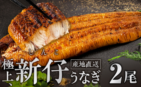 ２尾 うなぎ晴々  希少 豊橋うなぎ 蒲焼 厳選 国産 新仔うなぎ 若うなぎ 鰻 簡易包装 ウナギ うなぎ 鰻 蒲焼 山義養魚 ギフト ひつまぶし 土用丑の日 ギフト 冷凍 増量 丑の日 簡単調理 うなぎ お取り寄せ 送料無料