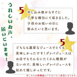 【全3回】とろーり果実感！グァバ・マンゴードリンク２本セット(各720ml×2本)×3回_K021-T006